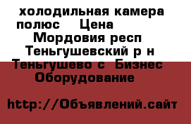 холодильная камера полюс  › Цена ­ 10 000 - Мордовия респ., Теньгушевский р-н, Теньгушево с. Бизнес » Оборудование   